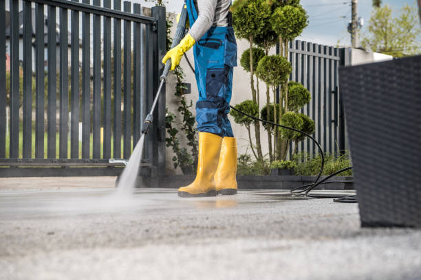 Best Roof Pressure Washing  in Bloomingdale, TN