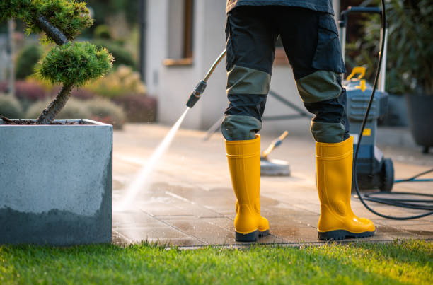 Best Pressure Washing Siding  in Bloomingdale, TN